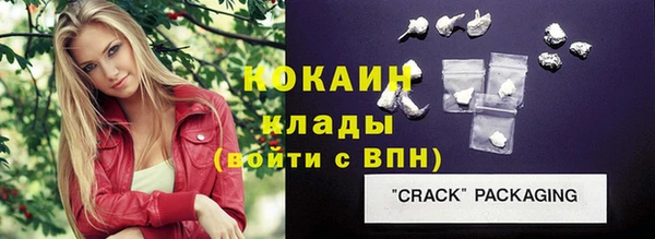 дмт Абаза