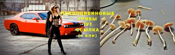 дмт Абаза